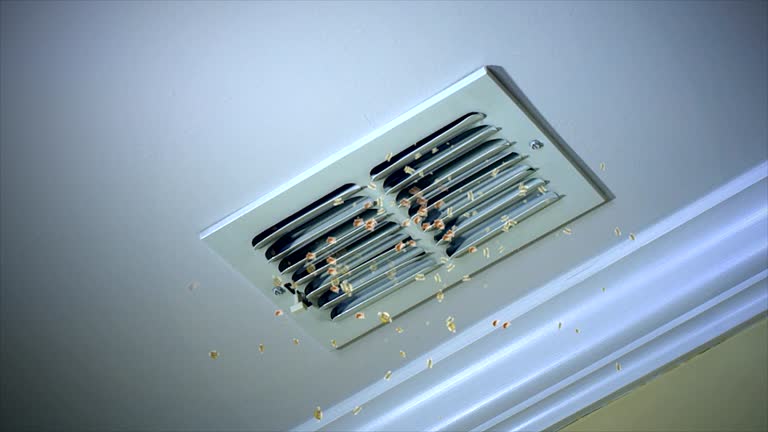 Best Home Air Vent Cleaning  in Verona, WI